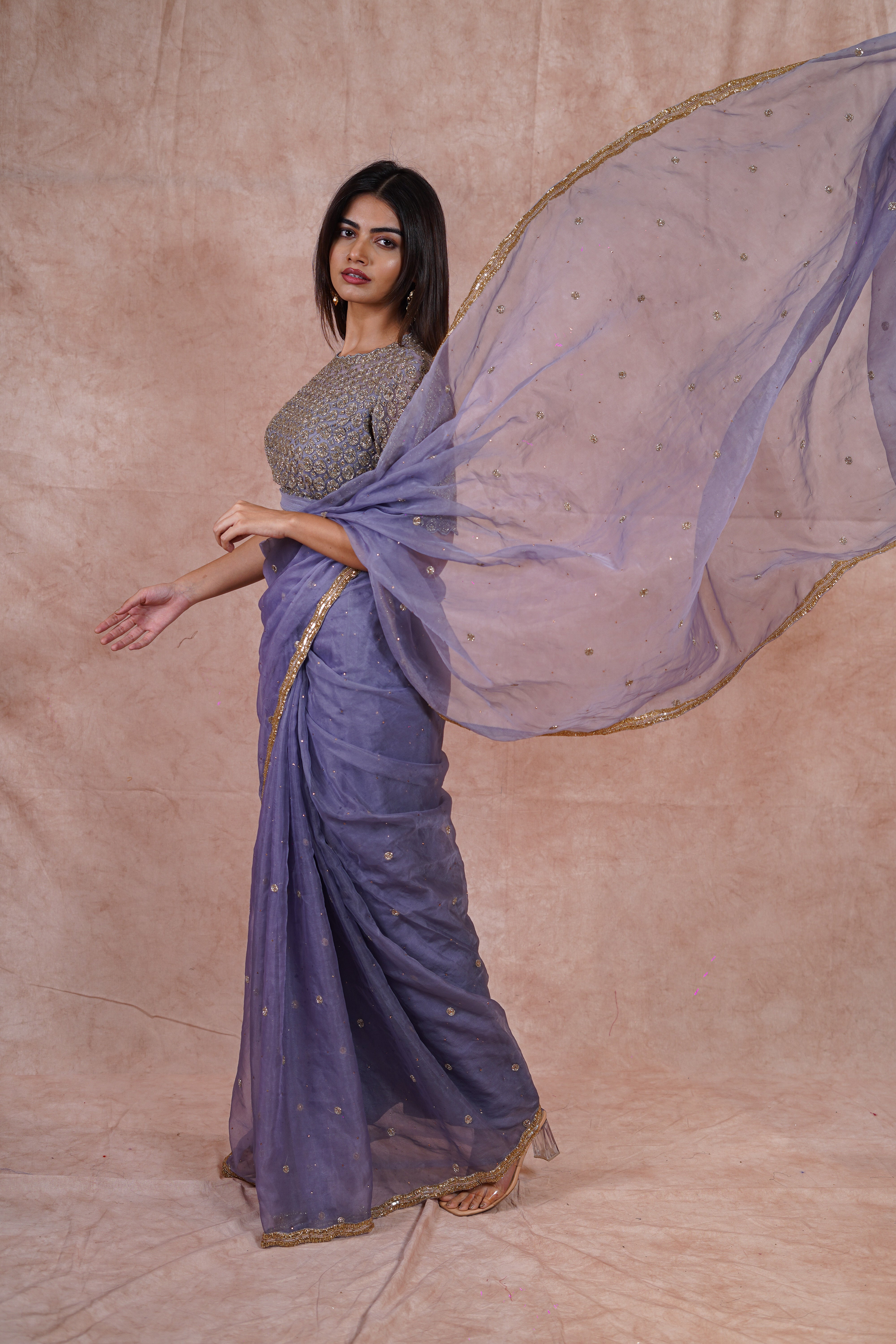 Cool Grey Organza Saree