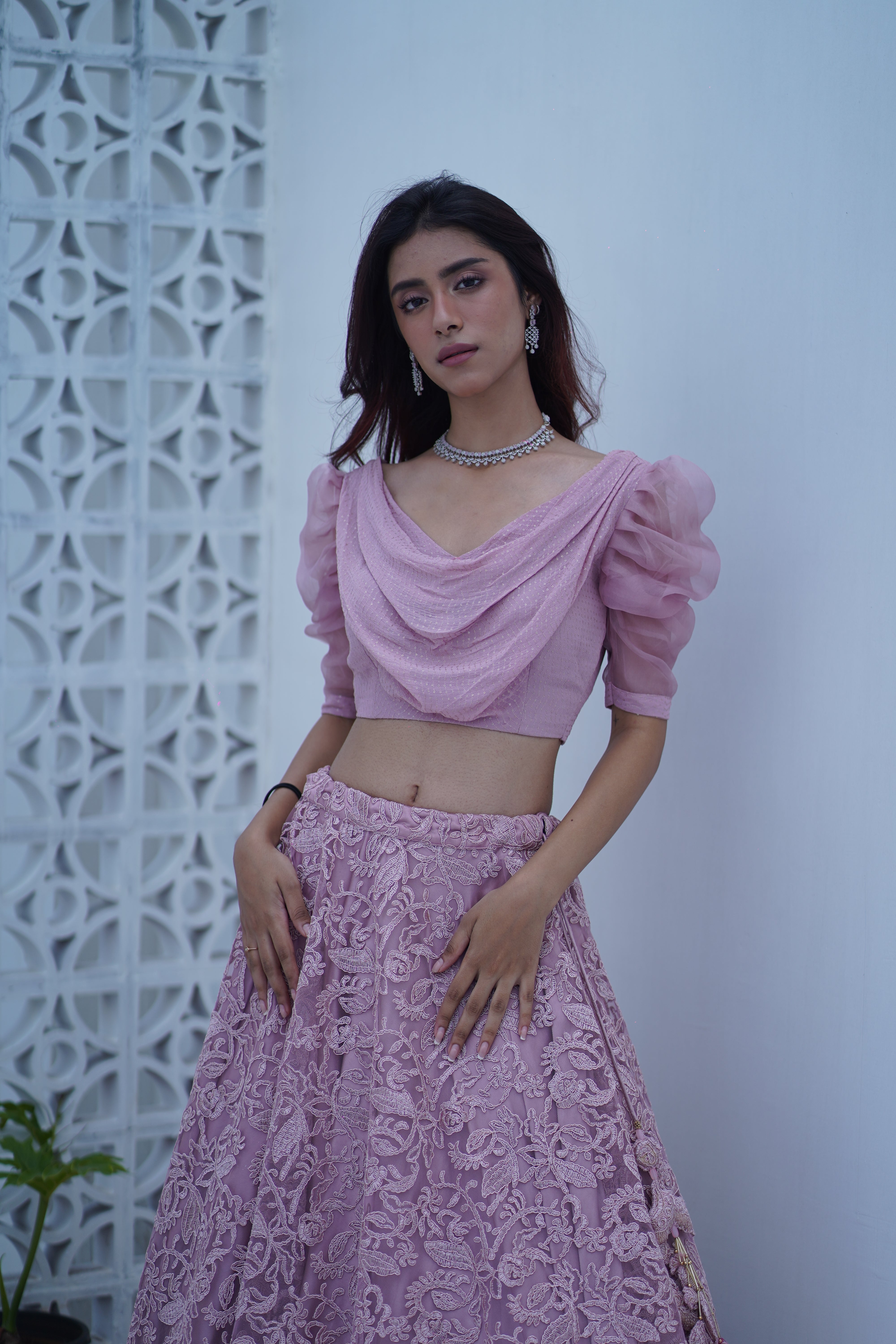 Mauve french net Skirt with cowl Crop Top