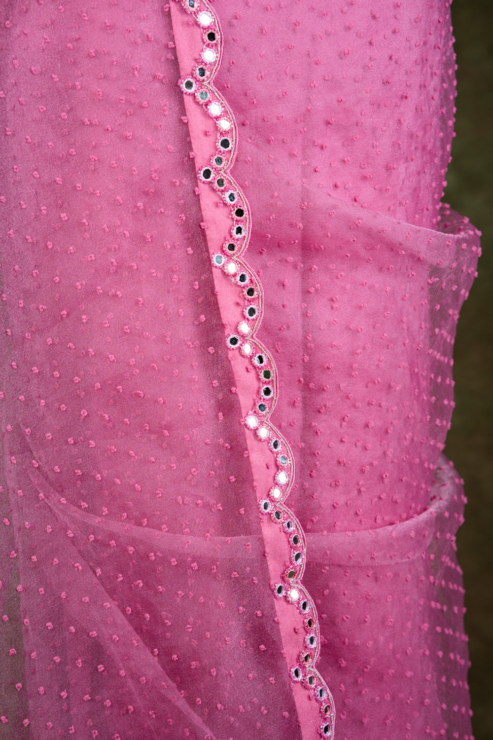 Onion Pink Organza Saree set